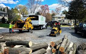 Best Seasonal Cleanup (Spring/Fall)  in Hutchinson, MN